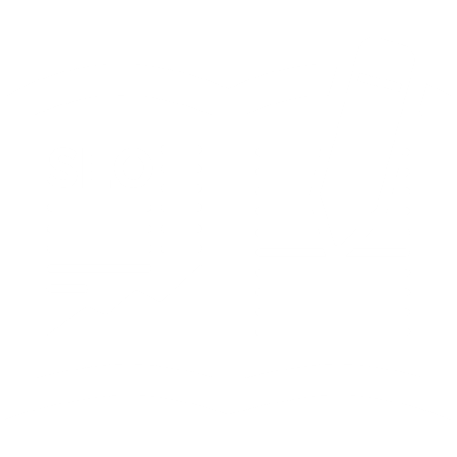 SEO Development web-operis